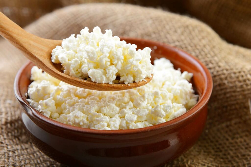 image representing a bowl full of cottage cheese